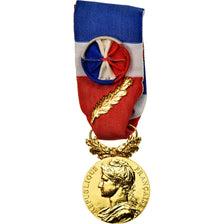 France, Médaille d'honneur du travail, Medal, 2008, Excellent Quality