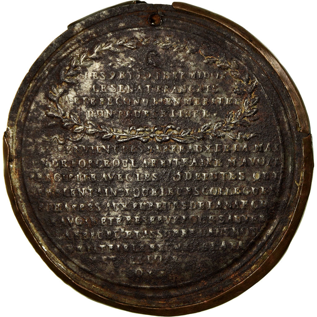 Francia, medalla, Révolution, Palloy, Aux Victimes de l'Anarchie, 1795, BC+