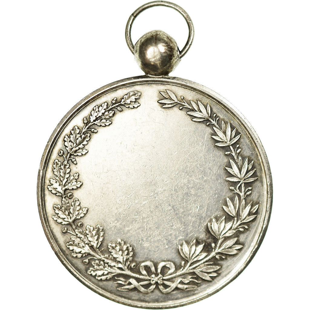 France, Medal, Ville de Lille, MS(63), Silver