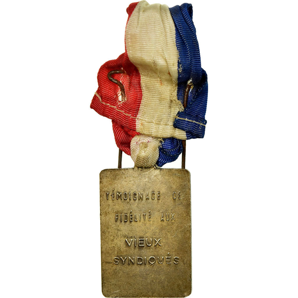 Francia, Unité CGT, Témoignage de Fidélité, medalla, Muy buen estado, Bronce