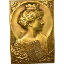 France, Médaille, Ville de Roubaix, Cariat, TTB, Bronze