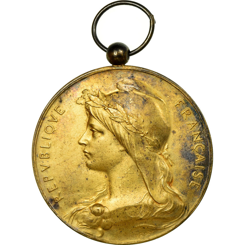 Frankreich, Medaille, Fêtes Internationales, Ville de Roubaix, 1901, Desaide