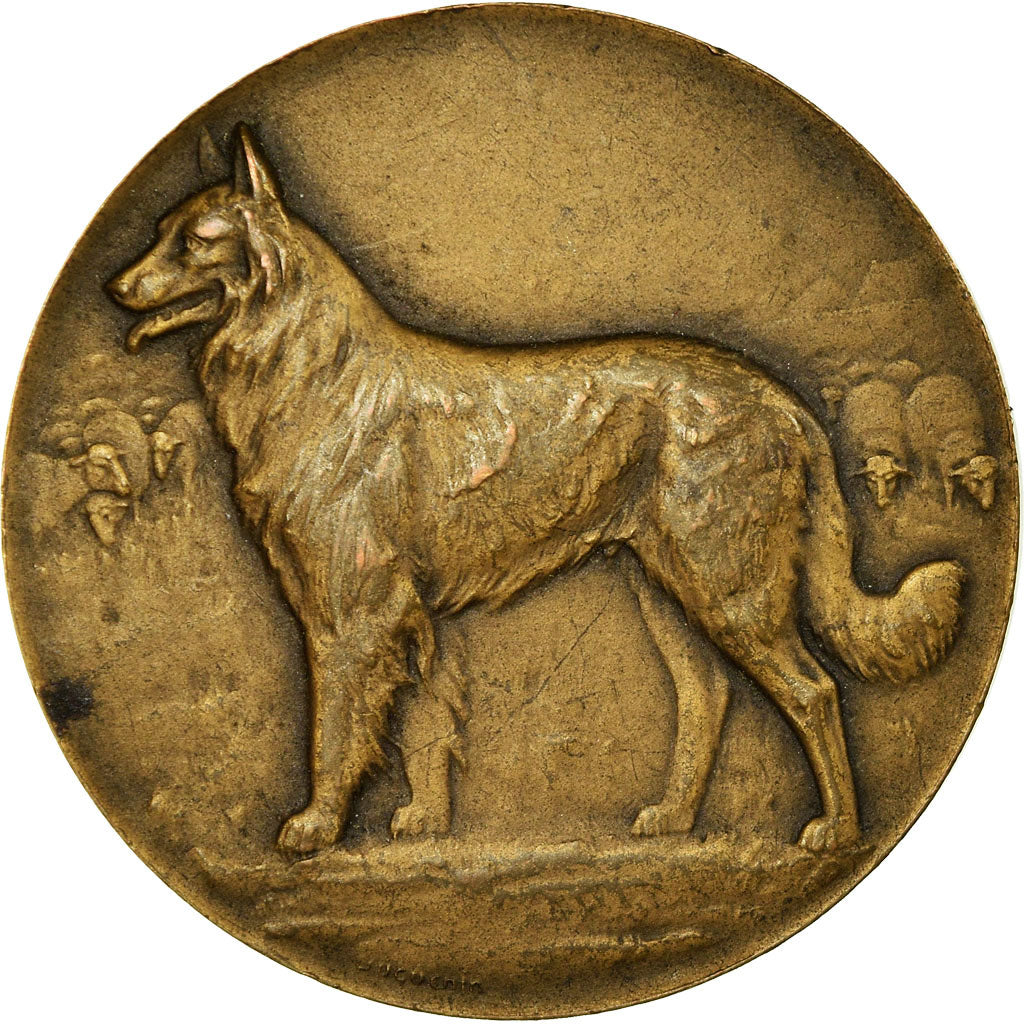 Frankrijk, Medaille, Société Canine, Gronendael Club, Huguenin, ZF, Bronze