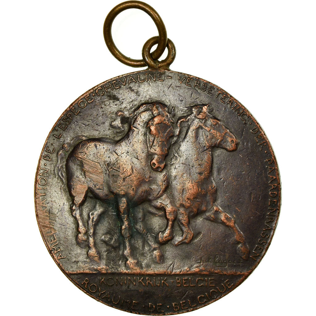 Belgique, Médaille, Ministère de l'Agriculture, Espèce Chevaline, 1936