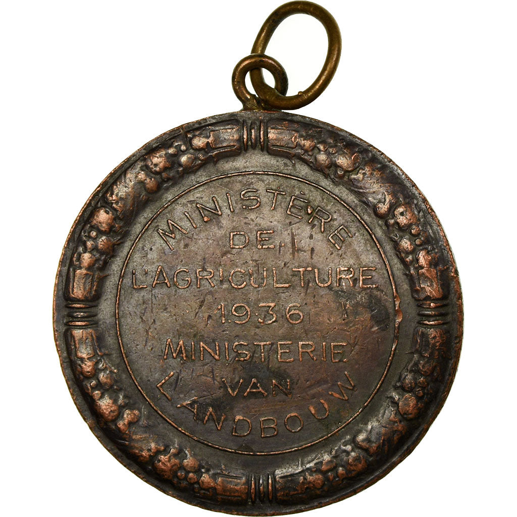 Belgique, Médaille, Ministère de l'Agriculture, Espèce Chevaline, 1936
