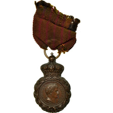 France, Médaille de Saint-Hélène, Médaille, 1857, Excellent Quality, Bronze