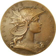 França, Medal, Ministère de la Guerre, Concours de Tir, Dubois.H, AU(50-53)
