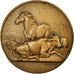 France, Medal, Art Nouveau, Agriculture, Dubois.A, AU(50-53), Bronze