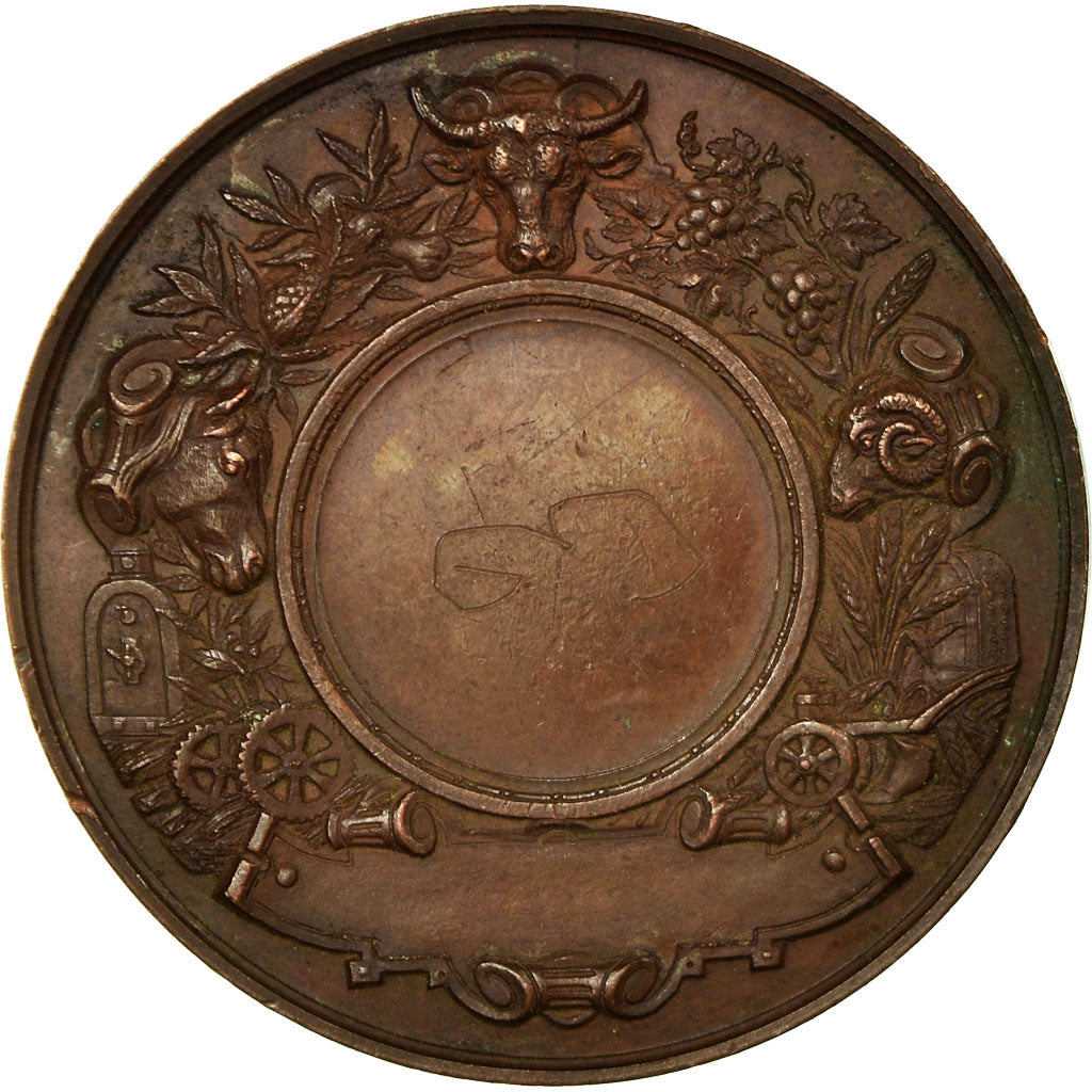 Francja, Medal, Comice Agricole de Louviers, Eure, Undated, Desaide, AU(50-53)