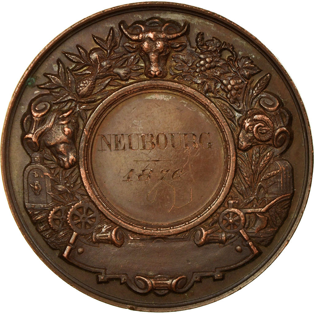 France, Medal, Comice Agricole de Louviers, Neubourg, Eure, 1876, Desaide
