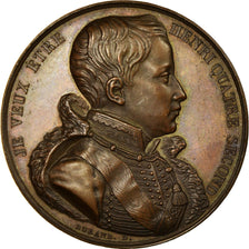 France, Médaille, Henri V, Henri IV, History, Durand, SPL, Bronze