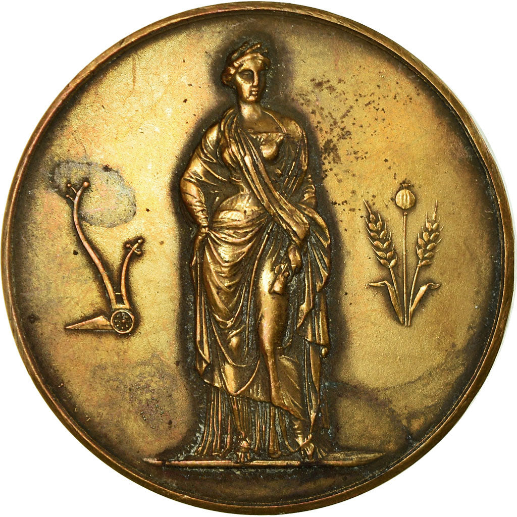 França, Medal, Société des Agriculteurs de l'Oise, Beauvais, 1929, AU(50-53)