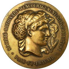 France, Medal, Société d'Encouragement à l'Agriculture d'Yvetot, AU(55-58)