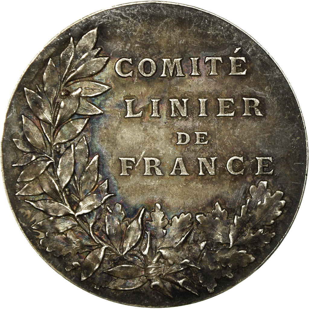 France, Medal, Comité Linier de France, Lagrange, AU(55-58), Silver