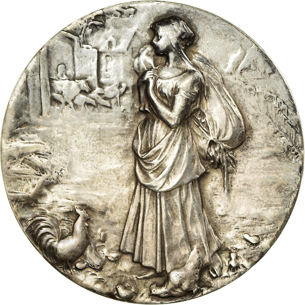 Francia, medalla, Comice Agricole de Marle (Aisne), MBC+, Plata