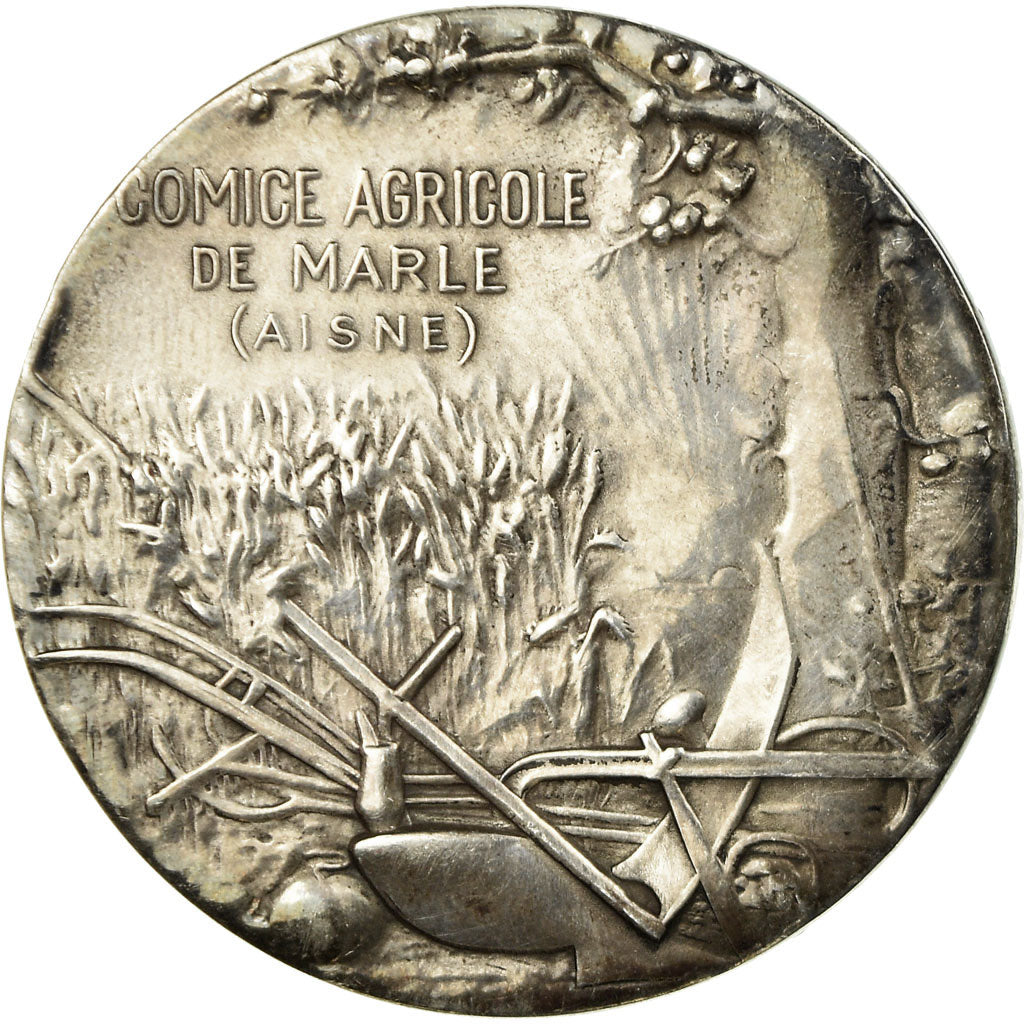 Francia, medalla, Comice Agricole de Marle (Aisne), MBC+, Plata