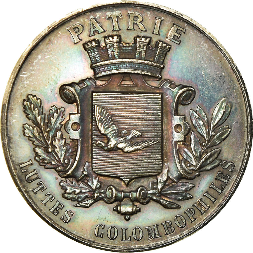 France, Medal, Colombe Patriote, Chantilly, 1889, MS(60-62), Silver