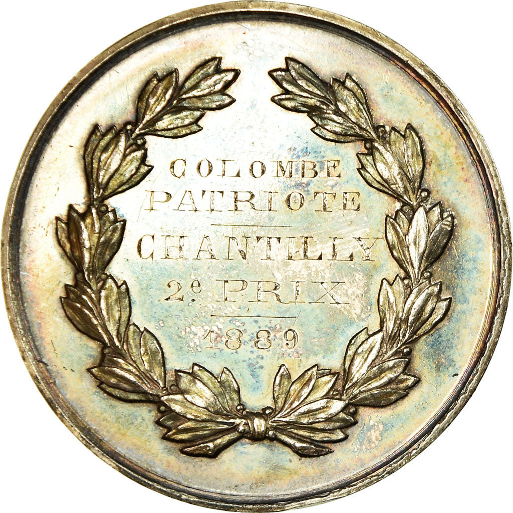 France, Medal, Colombe Patriote, Chantilly, 1889, MS(60-62), Silver
