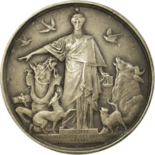 France, Medal, Société Protectrice des Animaux, 1916, MS(60-62), Silver