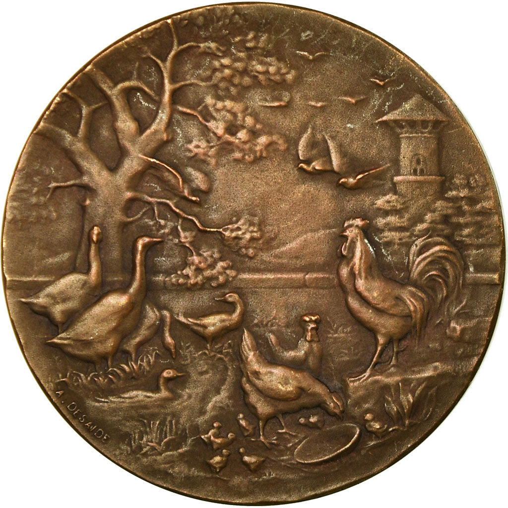 França, Medal, Les Aviculteurs du Nord de la France, 1891, MS(60-62), Bronze
