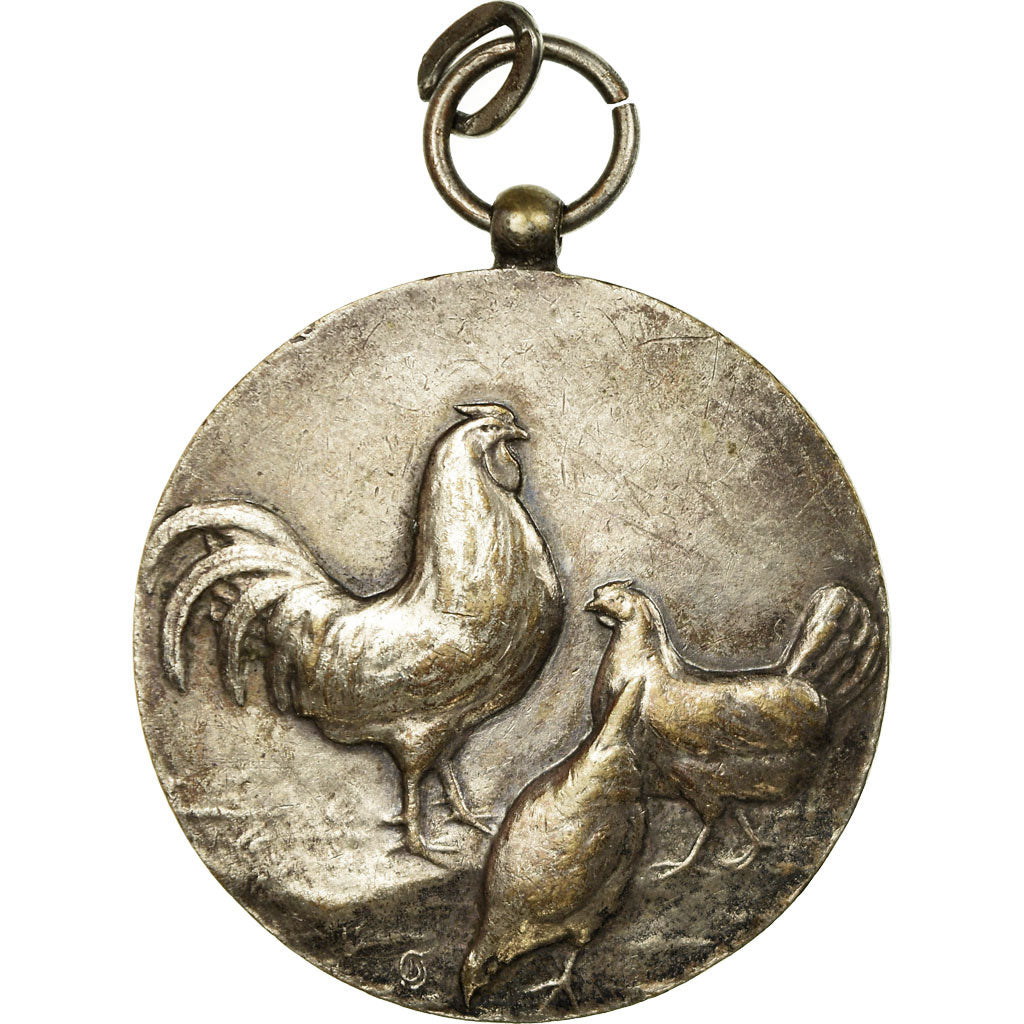 Francia, medalla, Aviculture, MBC, Bronce plateado