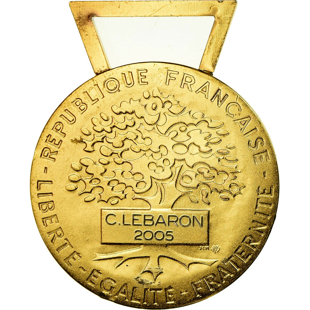 Francia, Médaille d'honneur communale, régionale et départementale, medaglia