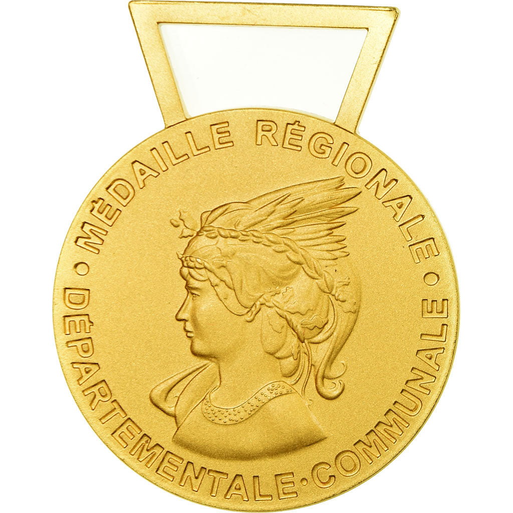 Francja, Médaille d'honneur communale, régionale et départementale, Medal