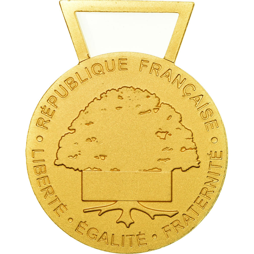 Francja, Médaille d'honneur communale, régionale et départementale, Medal