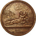 France, Medal, Napoleon Ier , Passage du Tagliamento , Prise de Trieste, Lavy