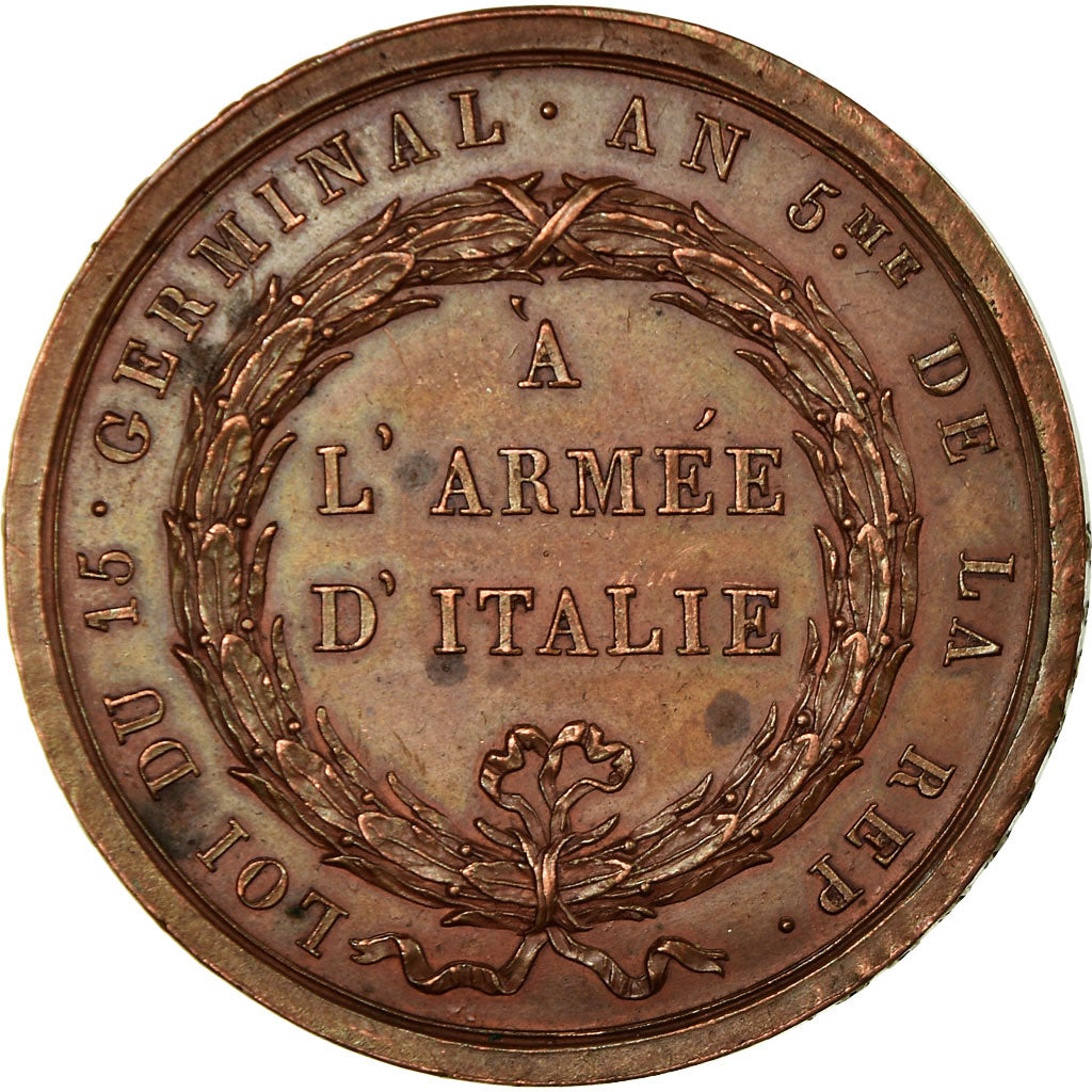 France, Medal, Napoleon Ier , Passage du Tagliamento , Prise de Trieste, Lavy
