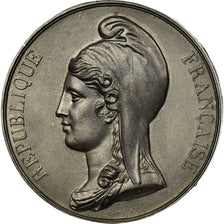 France, Médaille, Convention, Directoire, Consulat, History, Caqué, Refrappe