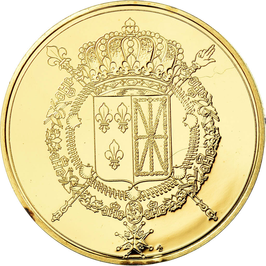 Frankreich, Medaille, Les Rois de France, Charles X, History, STGL, Vermeil