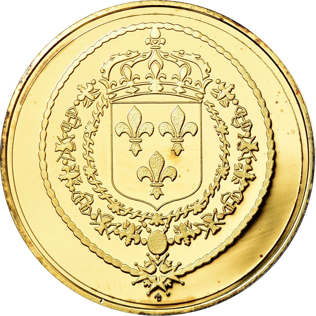 França, Medal, Les rois de France, Louis XIV, História, MS(64), Vermeil