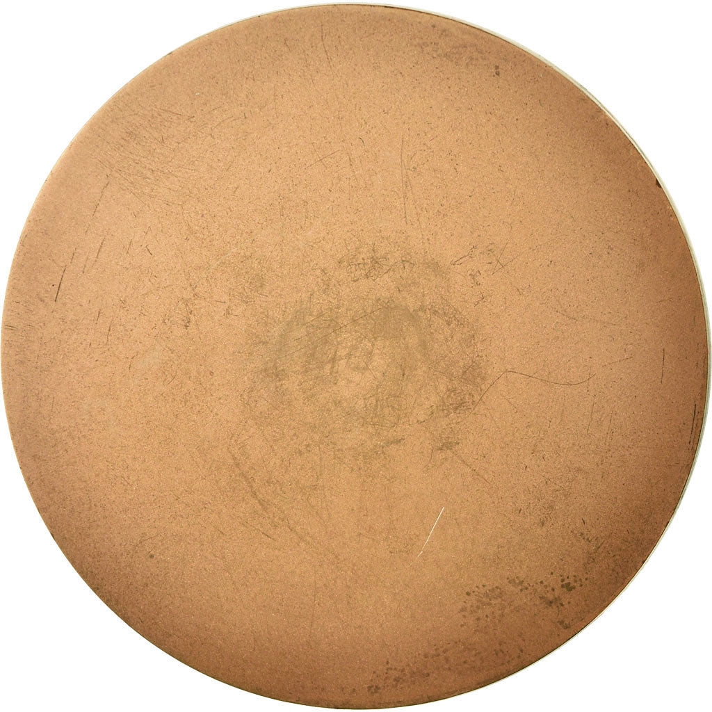 Frankreich, Medaille, Docteur Henri Guérin, 1972, Baron, VZ+, Bronze