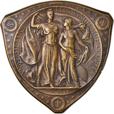 Estados Unidos de América, medalla, Exposition Universelle de Louisiane, 1904