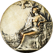 Algeria, Médaille, Anciens Zouaves à Eugène Chéron, 1933, Baudichon, TTB