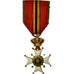 Belgium, Fédération Nationale des Anciens Combattants, Medal, Excellent