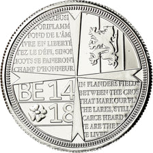 Belgium, Medal, Première Guerre Mondiale, dans les Flandres, Politics, Society