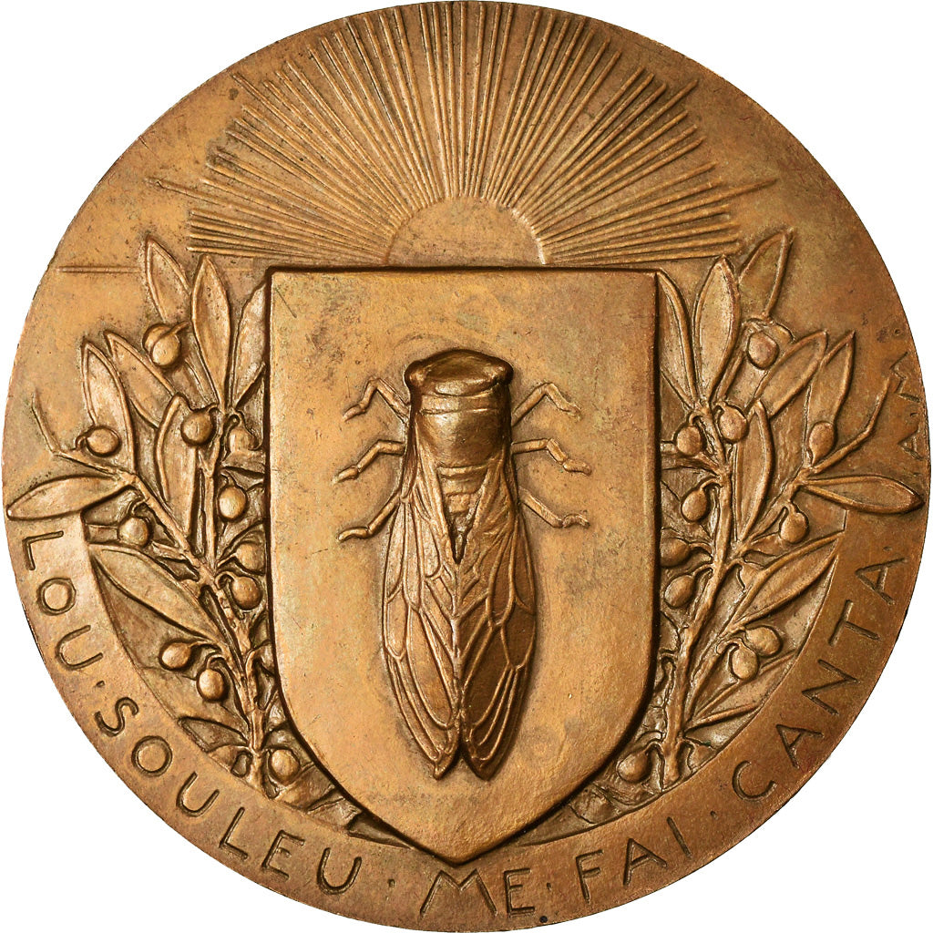 France, Medal, Frédéric Mistral, Ecrivain de Provence, Arts & Culture, 1914