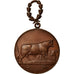 Frankrijk, Medaille, Agriculture, Animaux Reproducteurs, Audruicq