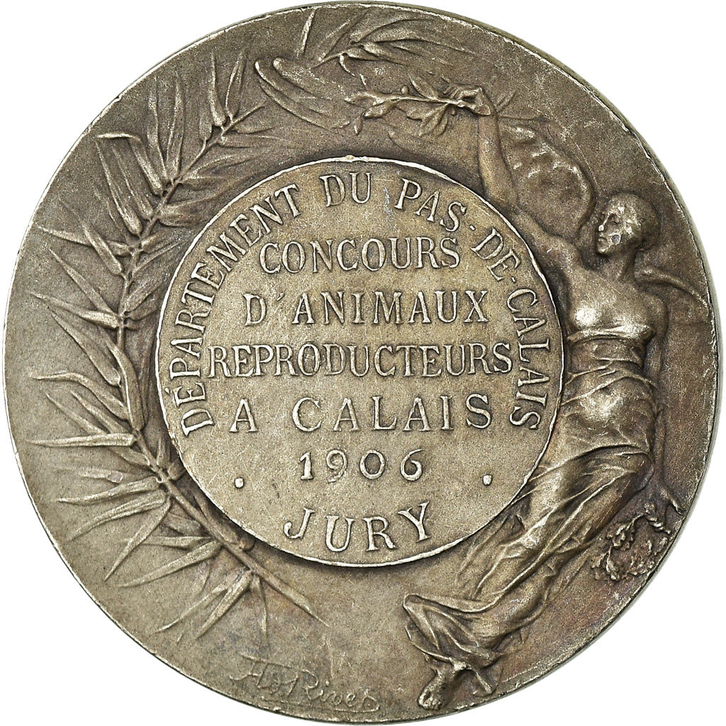 France, Medal, Agriculture, Animaux Reproducteurs, Jury, Calais, 1906, Rives