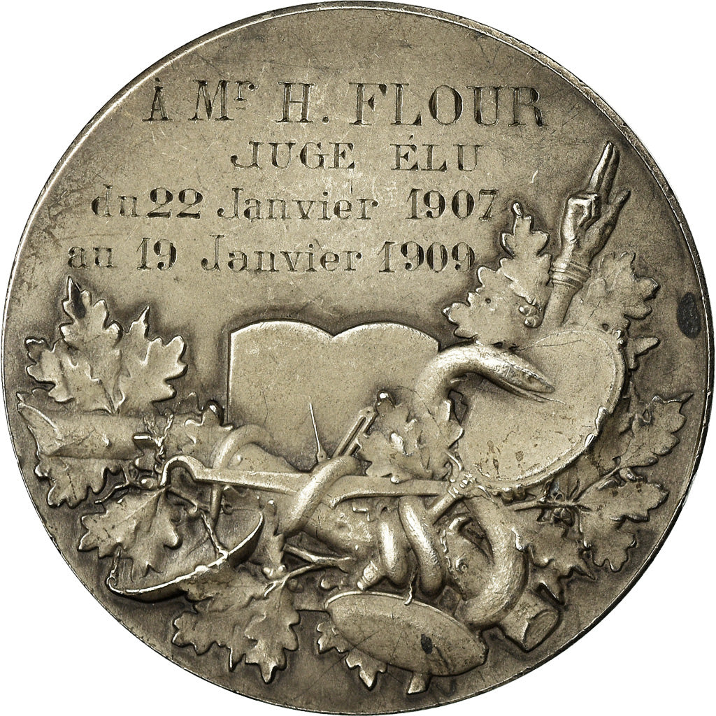 France, Médaille, A Mr Flour, Juge Elu, Arts & Culture, 1909, Vernon, SUP