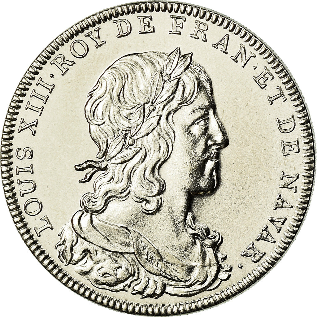 Frankrijk, Medaille, Les rois de France, Louis XIII, FDC, Nickel