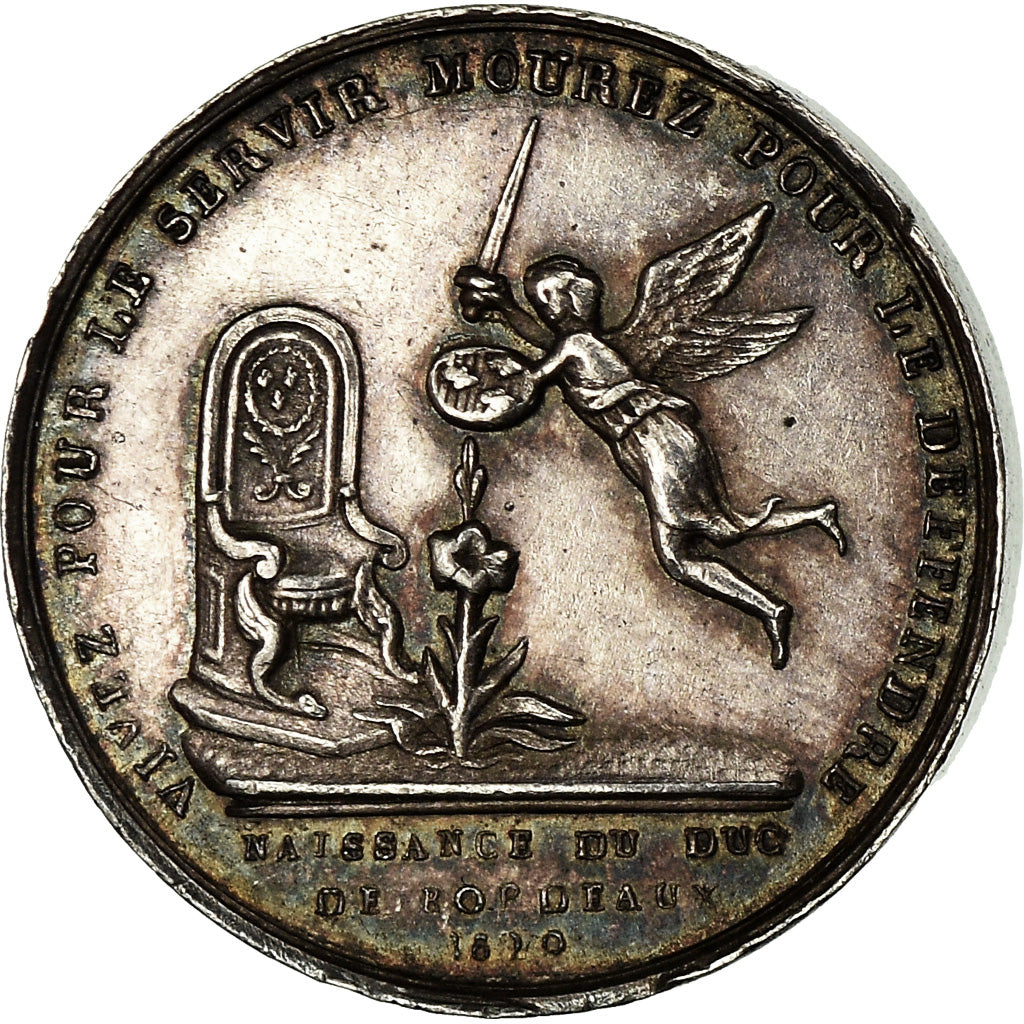 Francia, medaglia, Naissance du Duc de Bordeaux, XIème Légion, Garde Nationale
