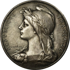 France, Médaille, Marianne, Offert par Mr Ringot Sénateur, O.Roty, SUP, Argent