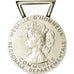 França, Médaille d'honneur communale, régionale et départementale, Medal