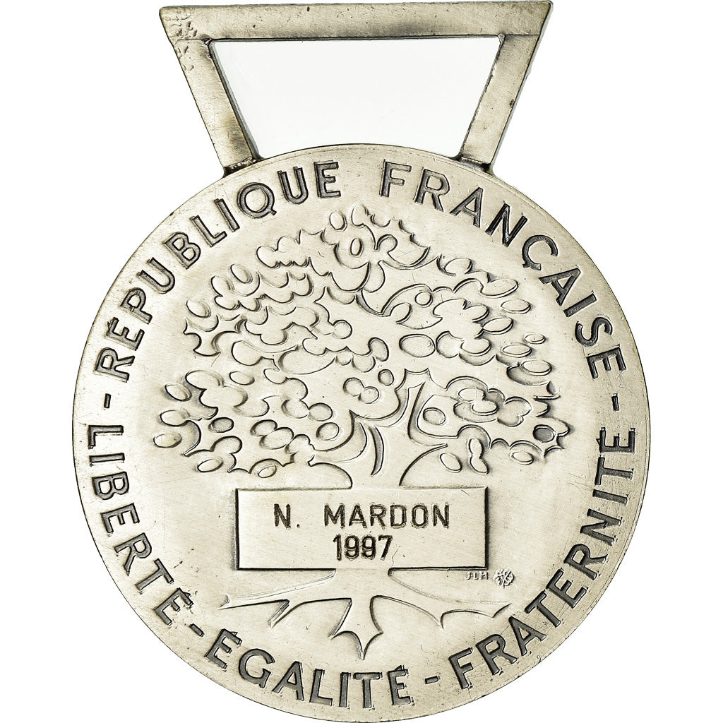 França, Médaille d'honneur communale, régionale et départementale, Medal