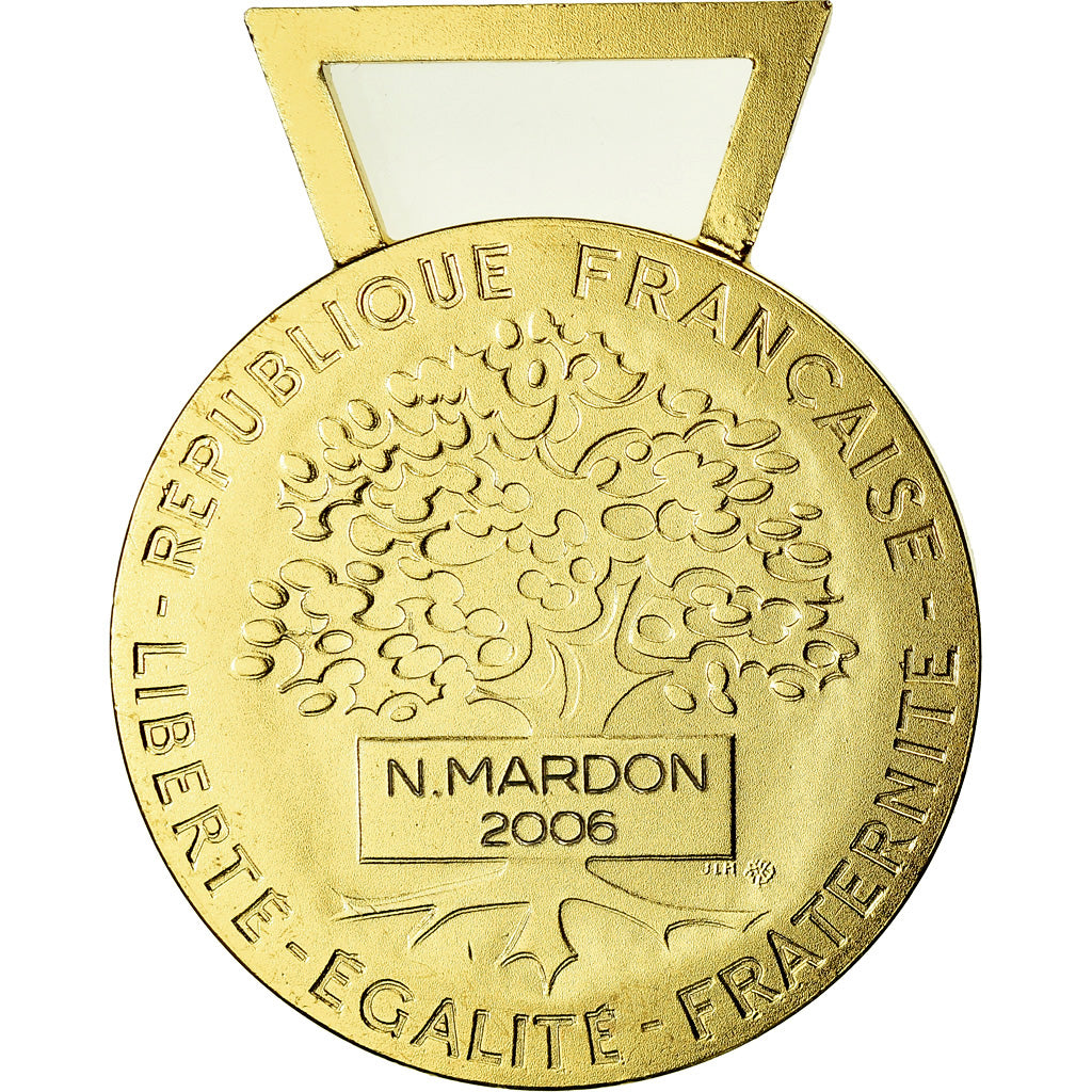 França, Médaille d'honneur communale, régionale et départementale, Medal