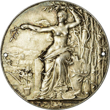 Frankreich, Medaille, Association Agricole du Canton de Seurre, Massoulle, SS+