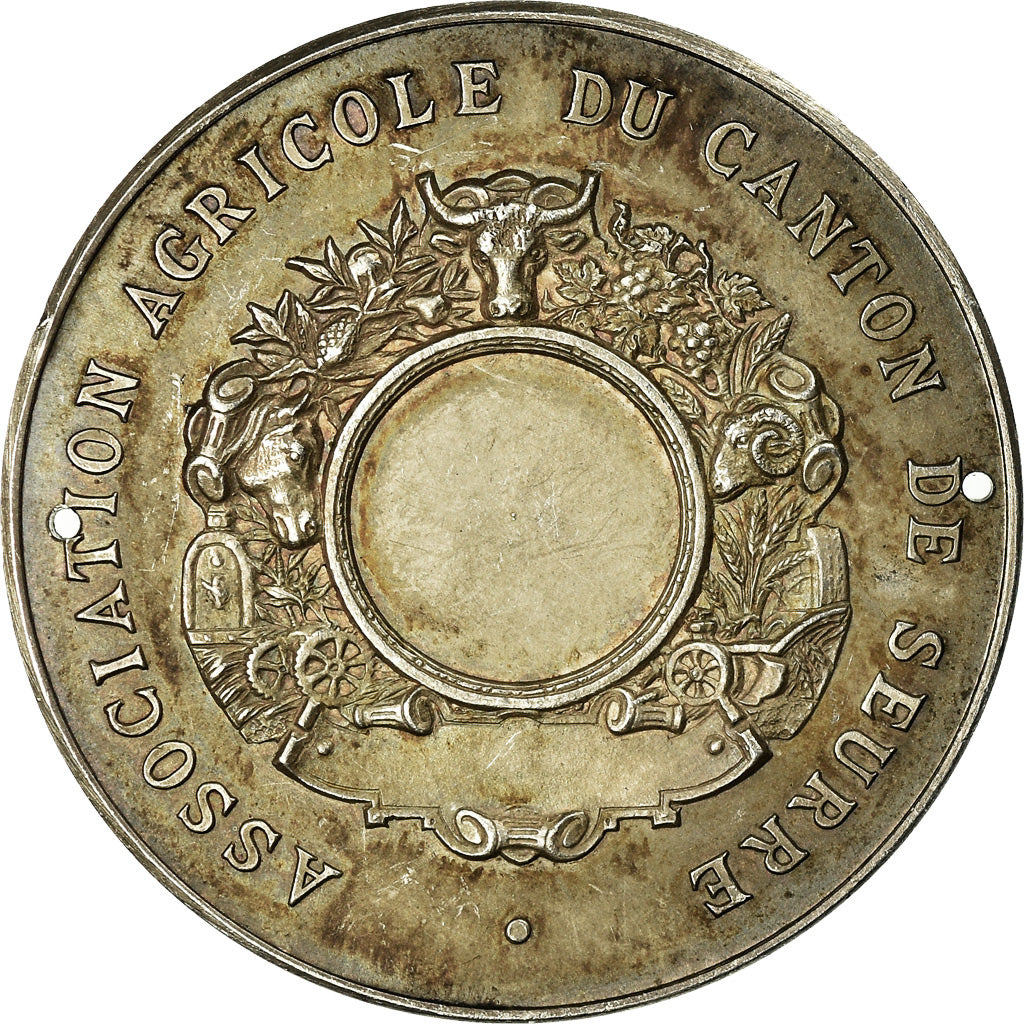 Frankreich, Medaille, Association Agricole du Canton de Seurre, Massoulle, SS+